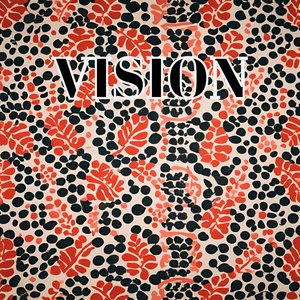Vision