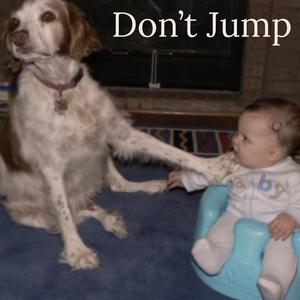 Don’t Jump