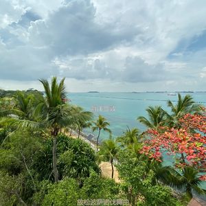 适合静止优秀的音乐