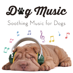 Music to Make Dogs Happy
