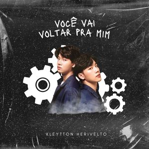 Você Vai Voltar Pra Mim ( Love Mechanics Series)