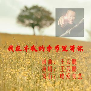 我在丰收的季节里等你