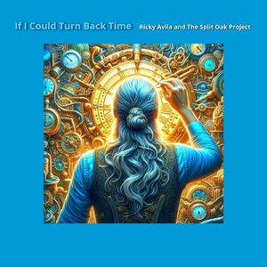 If I Could Turn Back Time