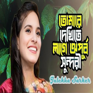 তোমারে দেখিতে লাগে অপূর্ব সুন্দরী