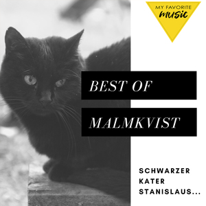 Schwarzer Kater Stanislaus