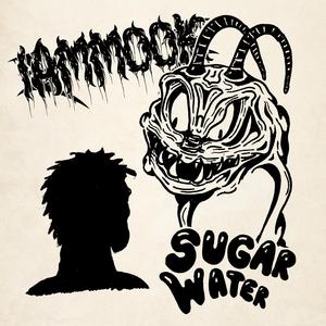 Sugar Water (feat. Ryan Vail of LARCENIA ROE & Klevaer)