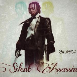 Silent Assassin