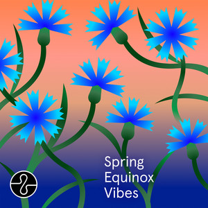 Forest Echos (Meditation)