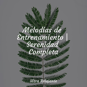 Seda Sobre El Agua