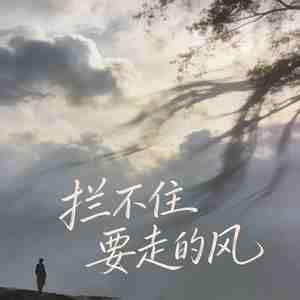 拦不住 要走的风重名