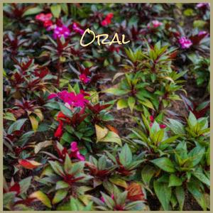 Oral