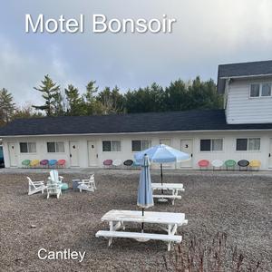 C'est fou comme je t'aime