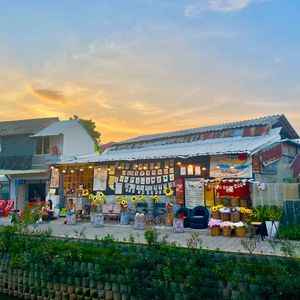 DAY TO DAY freestyle