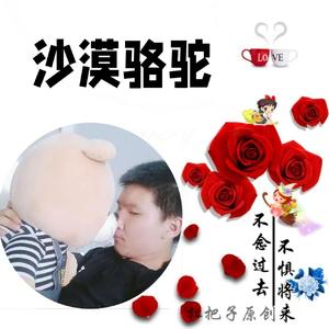 沙漠骆驼（完整版）