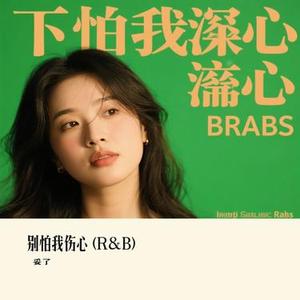 别怕我伤心  (R&B) (Cover 阿野)