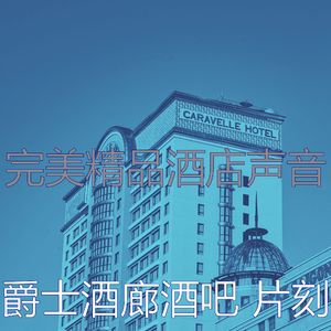 抚慰的酒吧酒店回忆
