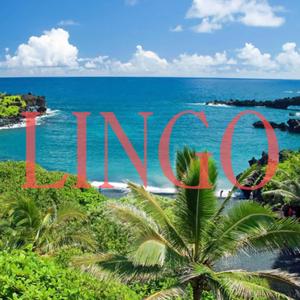 LINGO (feat. OKS, CnTdi3 & Jkroon)
