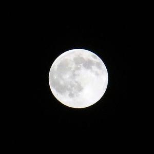 摇篮曲（Cover 香香）