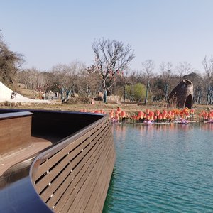 情深偏等一世纪