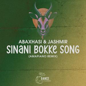 Sinani Bokke Song (amapiano remix)