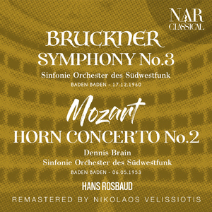 Symphony No. 3 in D Minor, WAB 103, IAB 110:III. Scherzo. Ziemlich schnell