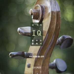 Canon In D Major (파헬벨 : 캐논 변주곡 라장조)