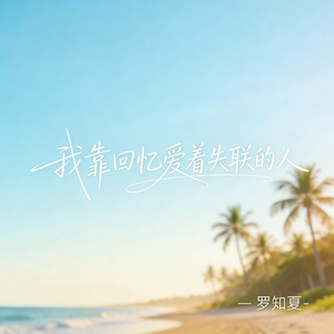 我靠回忆爱着失联的人