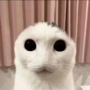 Psychedelic $uicide.