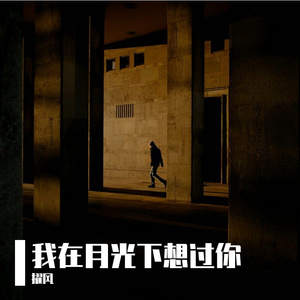 我在月光下想过你