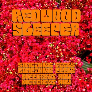 Something Feels Different Now