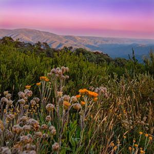 Heartache of Goodbyes