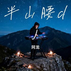 半山腰dj