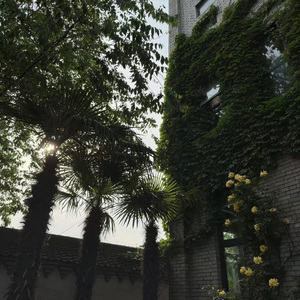 Caressing life (Instrumental)