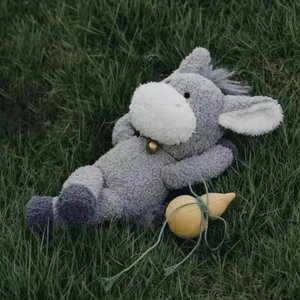 早睡早起身体好