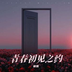 青春初见之约-徐凯