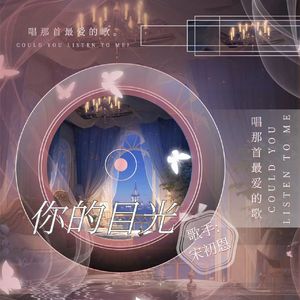 你的目光