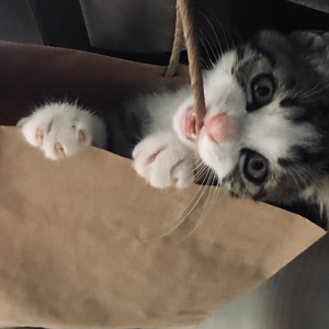 记念（伴奏）（翻自 雷雨心）