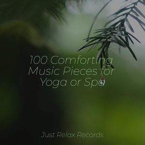 Midnight Spell Garden