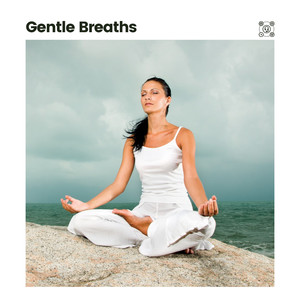 Omniscient Ambient
