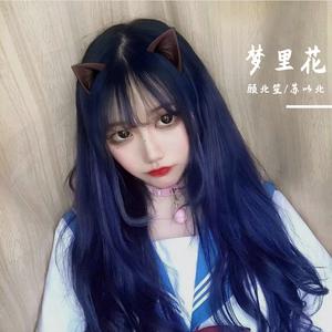 张韶涵-梦里花（DJ电摇版）（顾北笙 / 苏以北 remix）