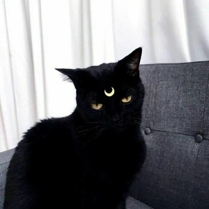 宋冬野-董小姐rap（demo）