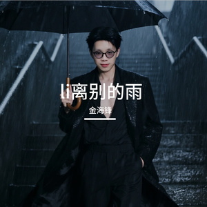 金海锋-离别的雨