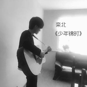 少年锦时