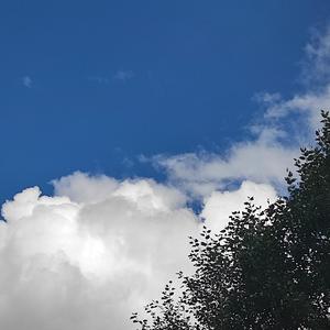 林啟得-我不是你的宋冬野（初心代 remix）