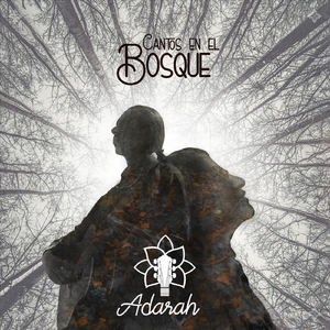 Como un Portal Hacia Lo Invisible