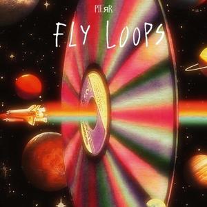 Fly Loops