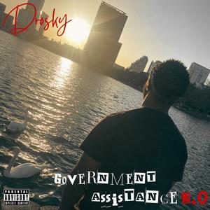 Government Assistance 2.0