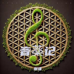 音薬记—岁月流金
