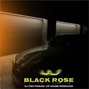 Black Rose (黑色玫瑰)