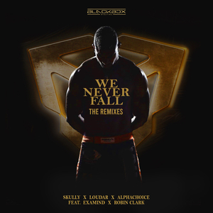 We Never Fall (Refold & Digishock Remix)